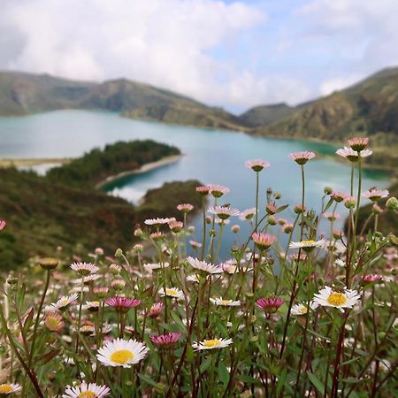 Ponta Delgada Alojamento Bb House 빌라 외부 사진