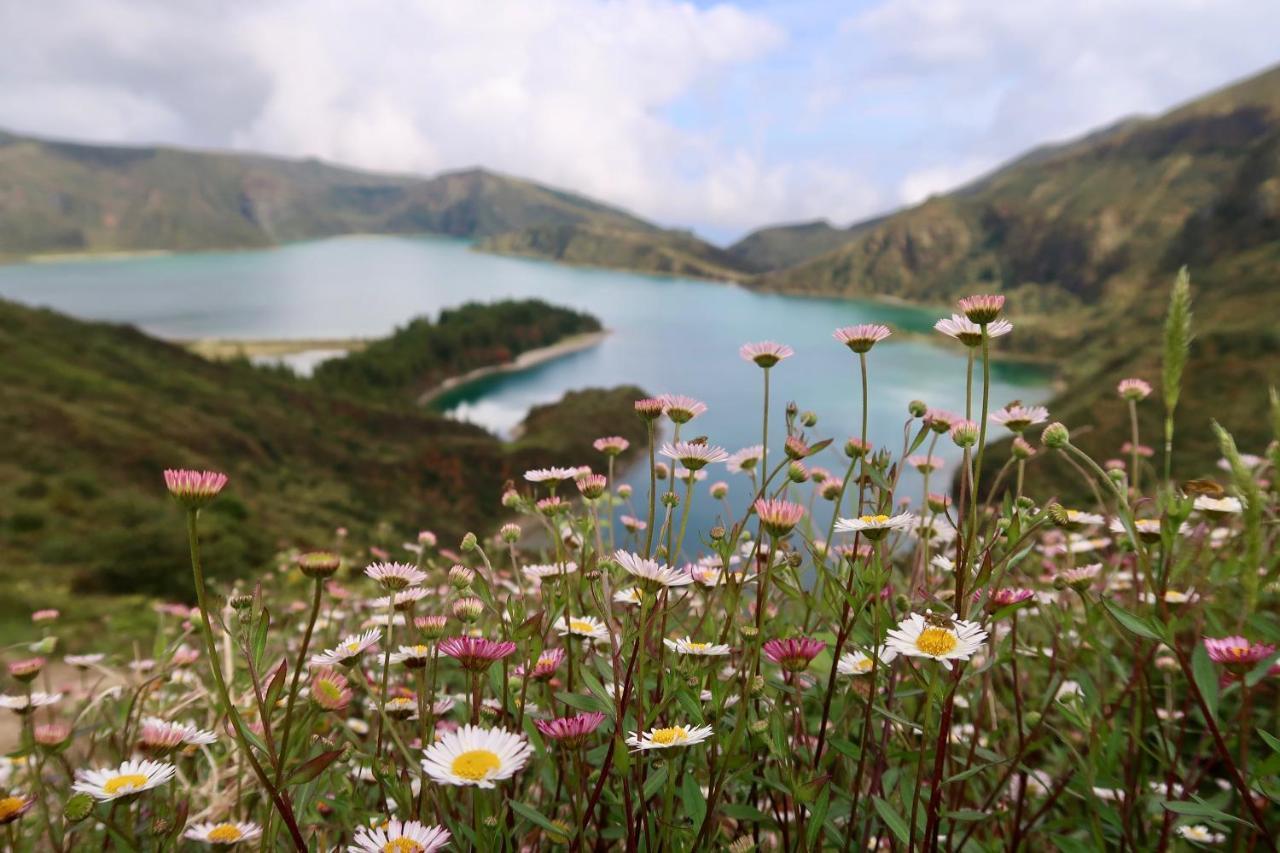 Ponta Delgada Alojamento Bb House 빌라 외부 사진